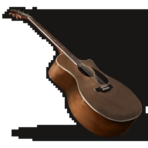 Acoustic Guitar Item