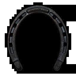 Basic Horse Shoes Item