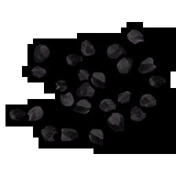 Black Berry Seed Item