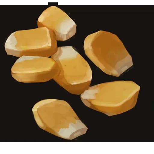 Corn Seed Item