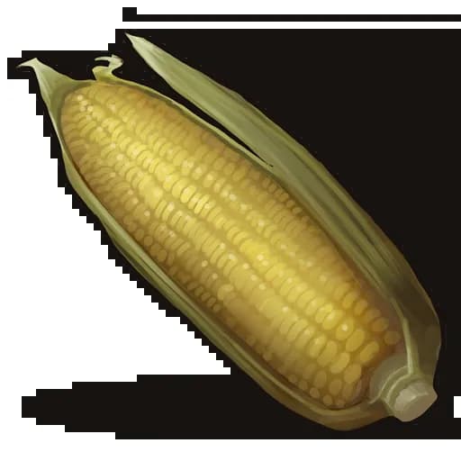 Corn Item
