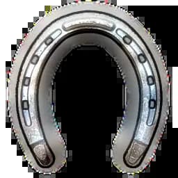 High Quality Horse Shoes Item
