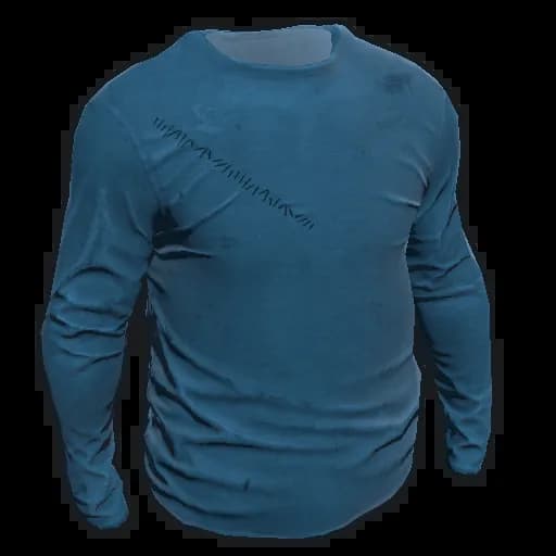 Longsleeve T-Shirt Item