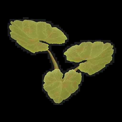 Pumpkin Plant Clone Item
