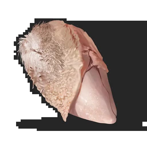 Raw Chicken Breast Item
