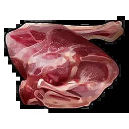 Raw Deer Meat Item