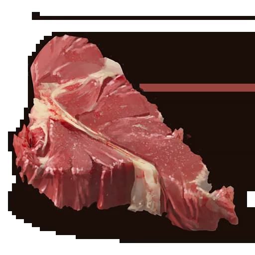 Raw Wolf Meat Item