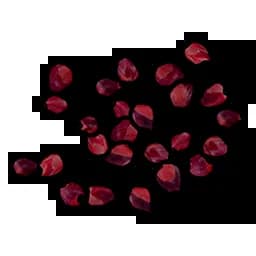 Red Berry Seed Item