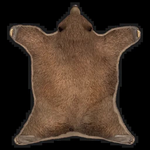 Rug Bear Skin Item