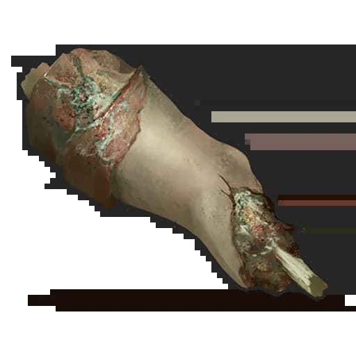 Spoiled Human Meat Item