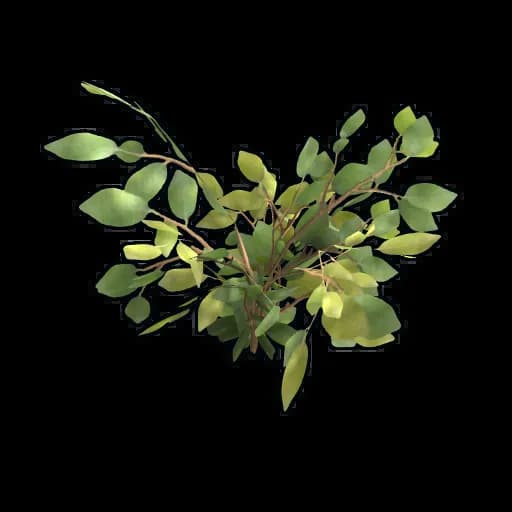 White Berry Clone Item