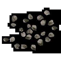 White Berry Seed Item